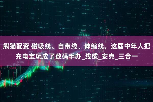熊猫配资 磁吸线、自带线、伸缩线，这届中年人把充电宝玩成了数码手办_线缆_安克_三合一