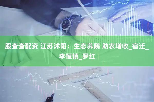 股查查配资 江苏沭阳：生态养鹅 助农增收_宿迁_李恒镇_罗红