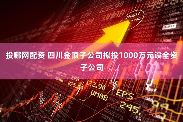 投哪网配资 四川金顶子公司拟投1000万元设全资子公司